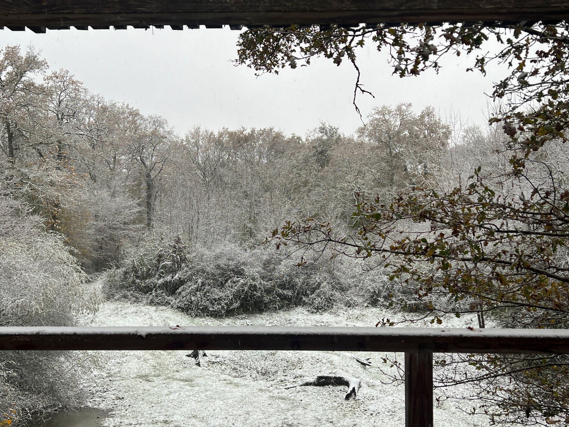 Suite « T(h)rees » & Spa