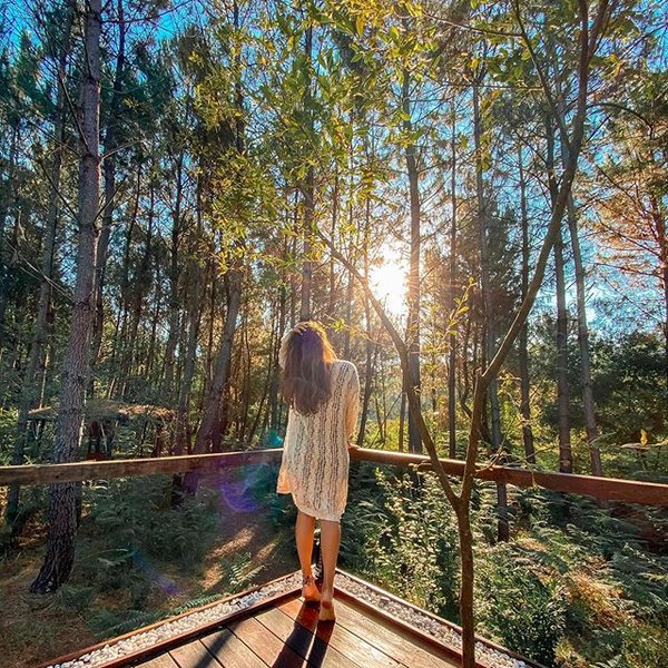 Domaine AbracadaRoom : Les Landines - Image 17