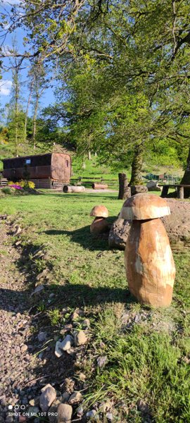 Domaine AbracadaRoom : Ma Roulotte sous les Chênes - Image 17