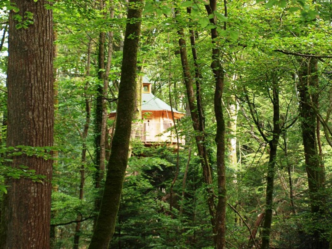 Cabane Vigie à Cléder (1)
