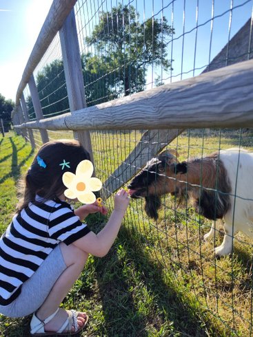 Hébergement AbracadaRoom : La Roulotte de Jane - Image 21