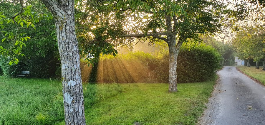 Domaine AbracadaRoom : Gite La Petite Clavelie - Image 1