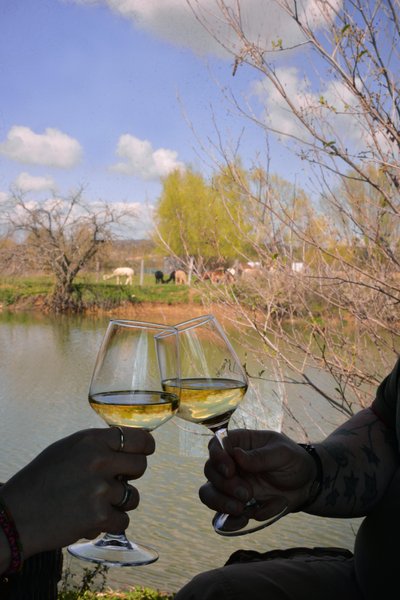 Hébergement AbracadaRoom : Lodge Duo Flottant Spa Grenouilles - Image 3