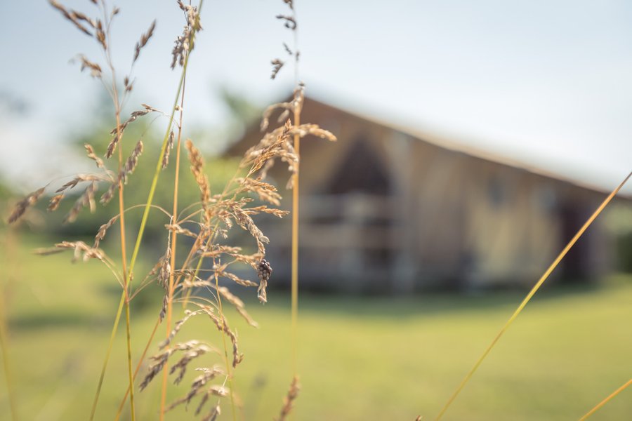 Hébergement AbracadaRoom : Tente Lodge la Clairière - Image 13
