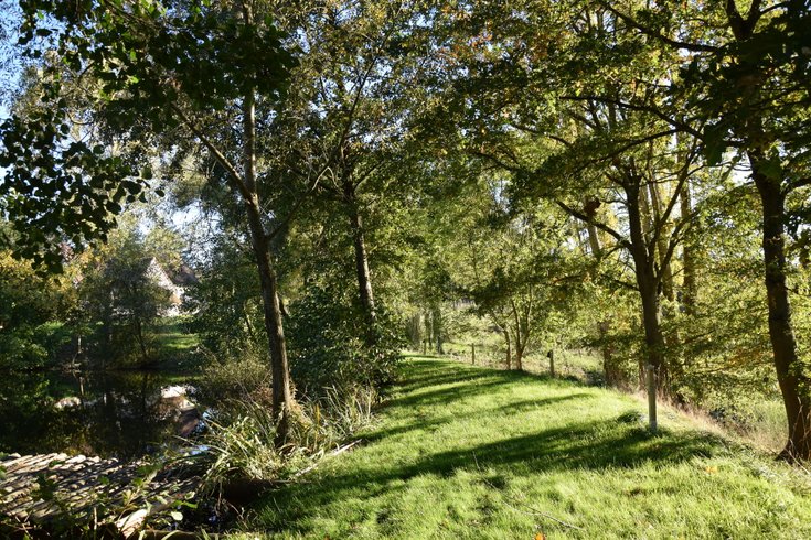 Domaine AbracadaRoom : Les Roulottes des Ris - Image 4