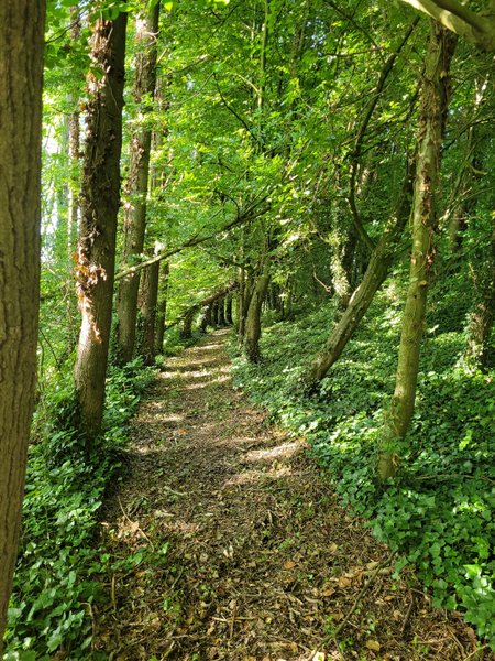 Hébergement AbracadaRoom : Yourte mongole - Image 12