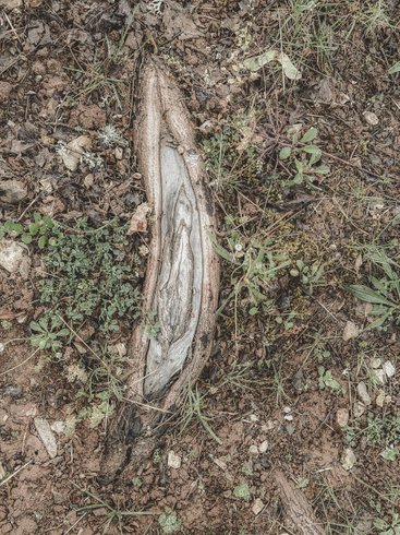 Domaine AbracadaRoom : Domaine Amaia - Image 57