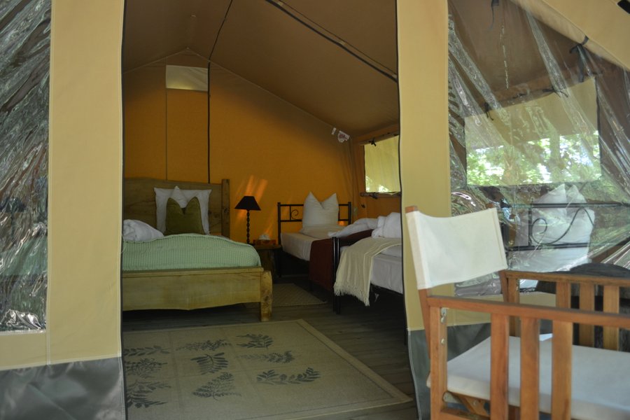 Hébergement AbracadaRoom : Bamburi, dans les bois - Image 7