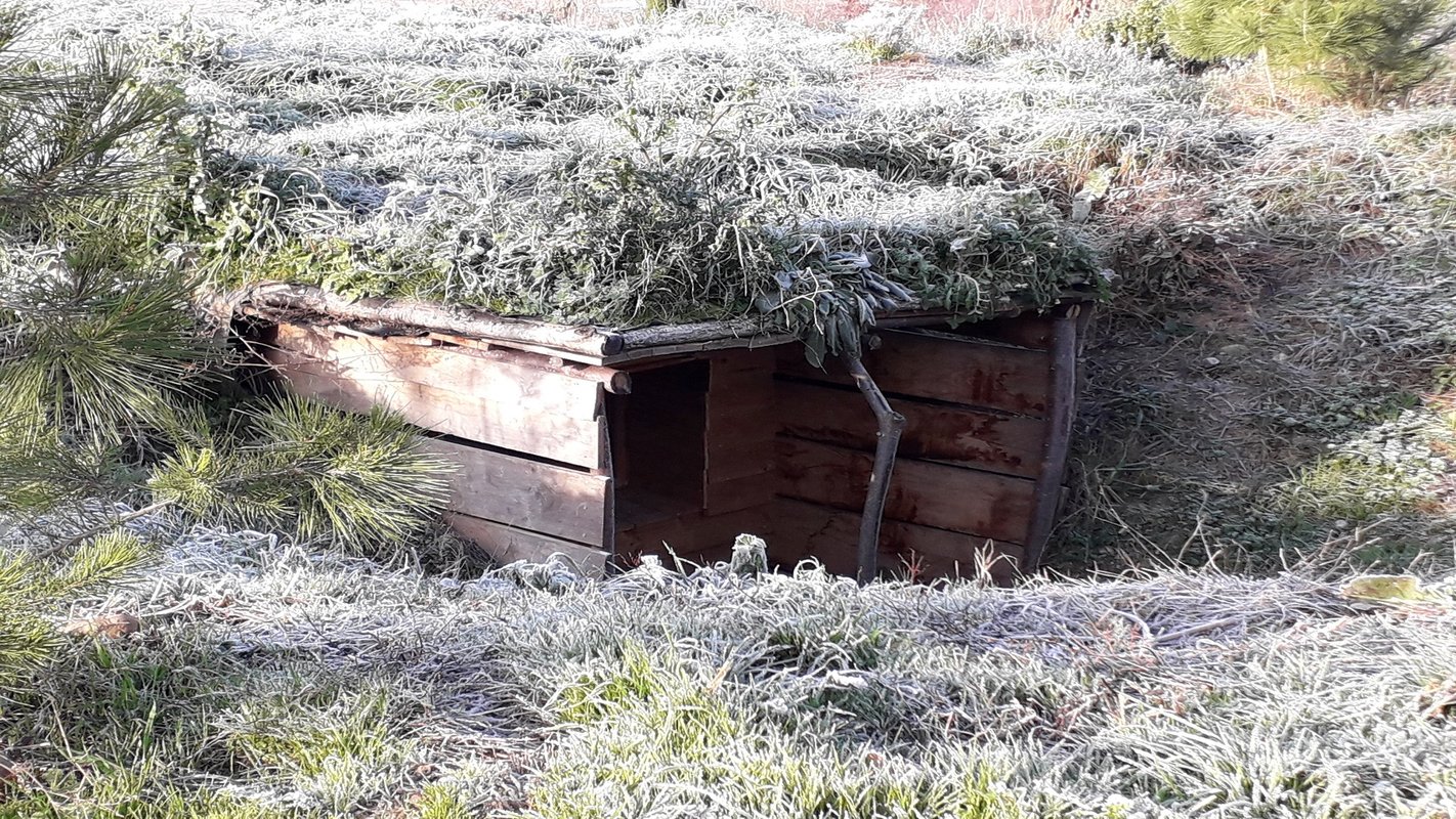 Maison  du Hobbit avec spa privatif à Villarzel Du Razès (33)