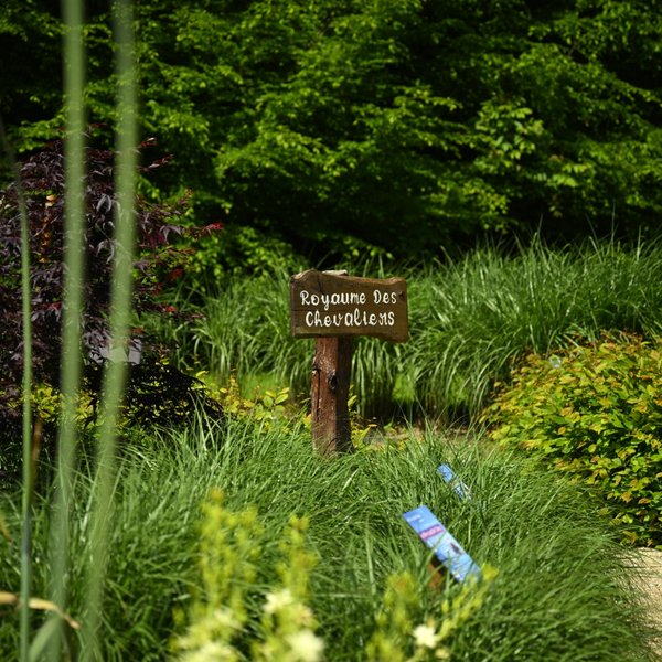 Domaine AbracadaRoom : Ô Pays des bois - Image 13
