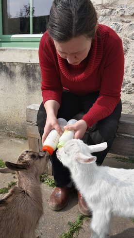 Domaine AbracadaRoom : Domaine du Vigneau - Image 5