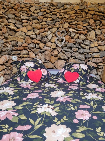 Hébergement AbracadaRoom : Le toit du monde & Spa - Image 2