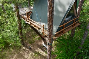 Jungle Lodge
