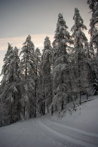 Domaine AbracadaRoom : Yourte de Montagne de Ratery - Image 3