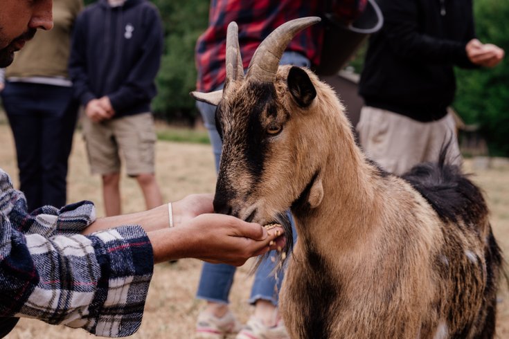 Domaine AbracadaRoom : Un Lit au Pré - L’étable des Mauges en Anjou - Image 18