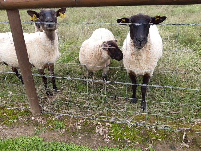 Hébergement AbracadaRoom : Tonneau Ô Verger - Image 7