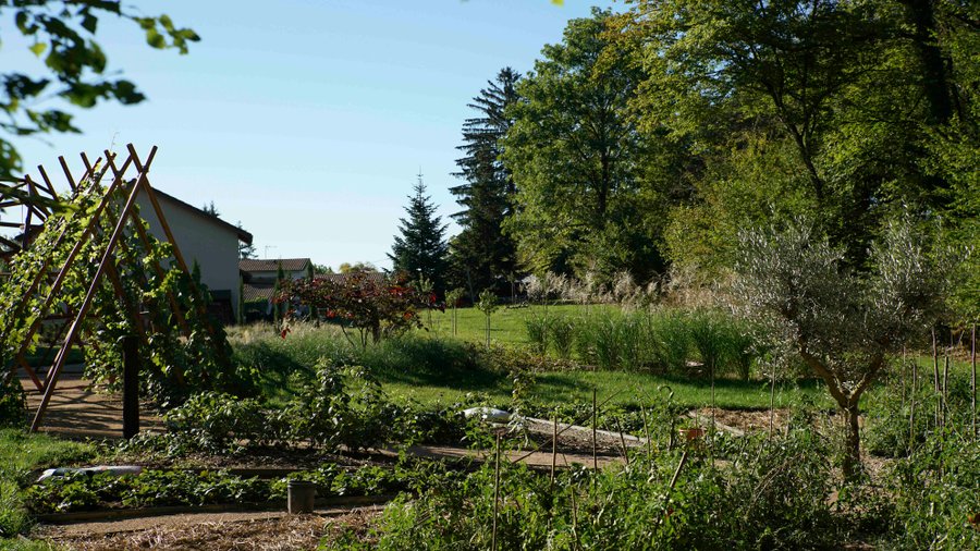 Domaine AbracadaRoom : Ô Pays des bois - Image 9