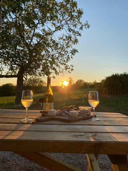 Hébergement AbracadaRoom : Parcel Tiny House - dans les vignes de Bourgogne proche Sancerre - Image 10