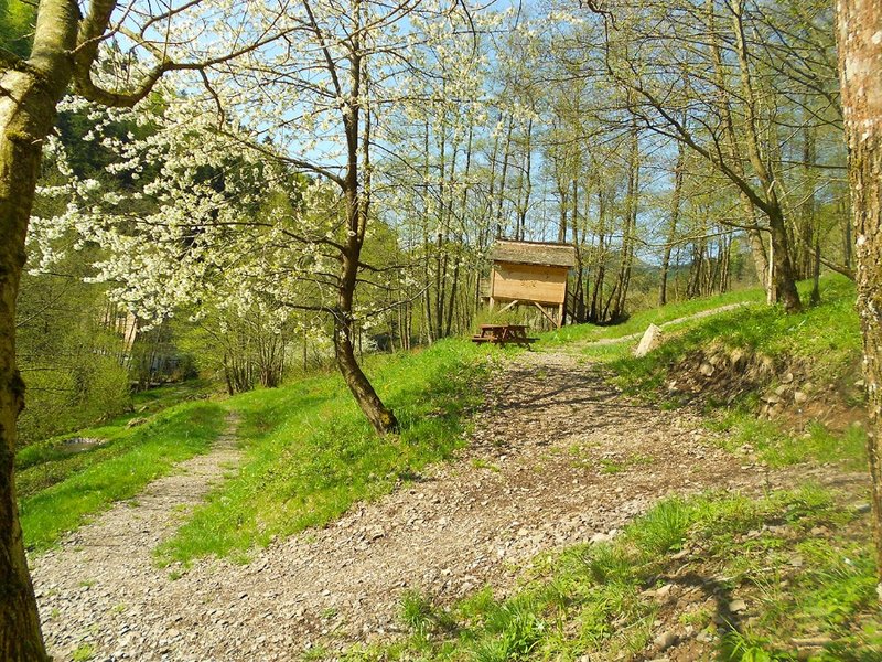 Hébergement AbracadaRoom : la Cabane le Refuge du Trappeur - Image 3