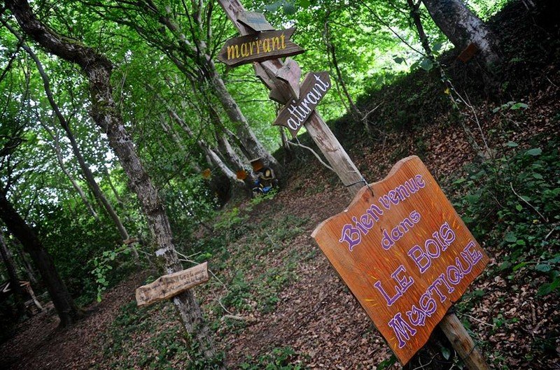 Domaine AbracadaRoom : Le P'tit Gris des Moulins - Image 6