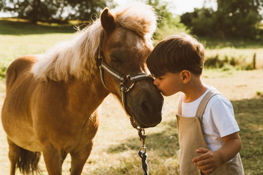 Domaine AbracadaRoom : Un Lit Au Pré -  La ferme de Fontenille - Image 18