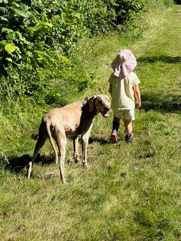 Domaine AbracadaRoom : Les roulottes des amis de Wonky - Image 12