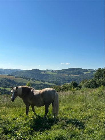 Domaine AbracadaRoom : Domaine de Puech Long - Image 7