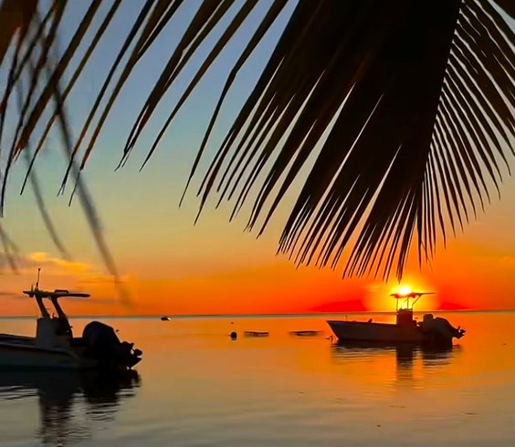 Domaine AbracadaRoom : AQUA LODGE Les Saintes Terre de Haut Guadeloupe - Image 16