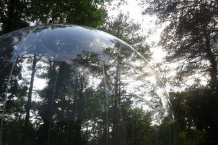 La Bulle des Nymphes