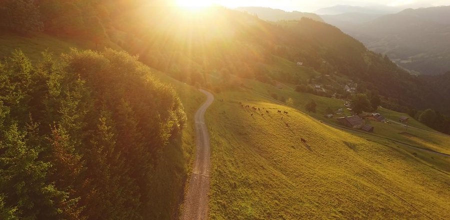 Hébergement AbracadaRoom : Cabane Nid - Image 19