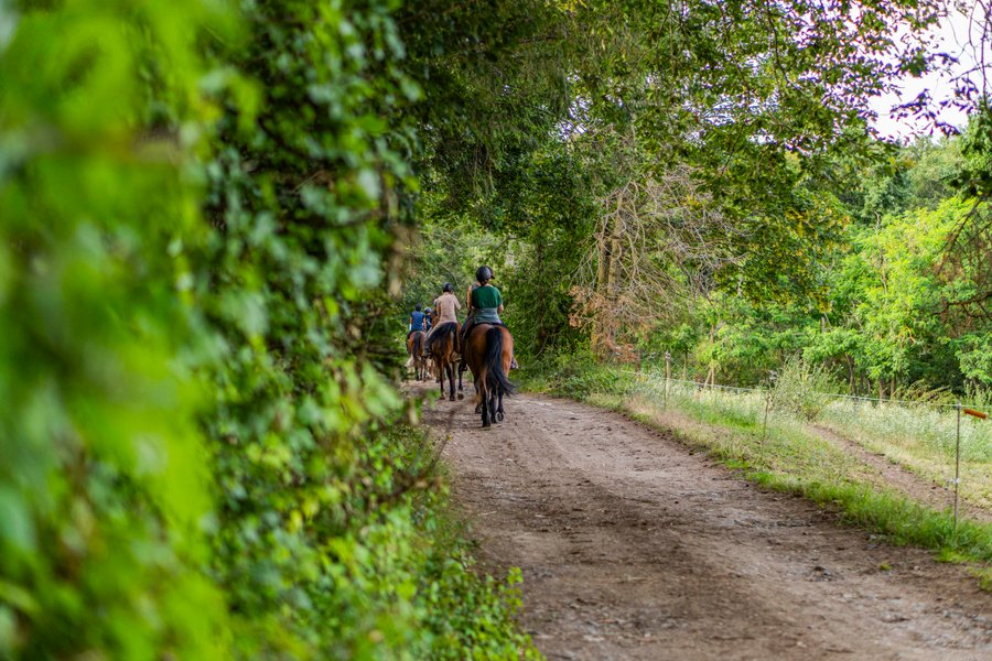 Domaine AbracadaRoom : Homnest (Chatel-Guyon) - Image 9