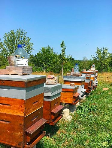 Domaine AbracadaRoom : Domaine des Essarts - Image 10