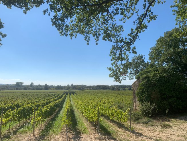 Domaine AbracadaRoom : Domaine de Regardebon - Image 2