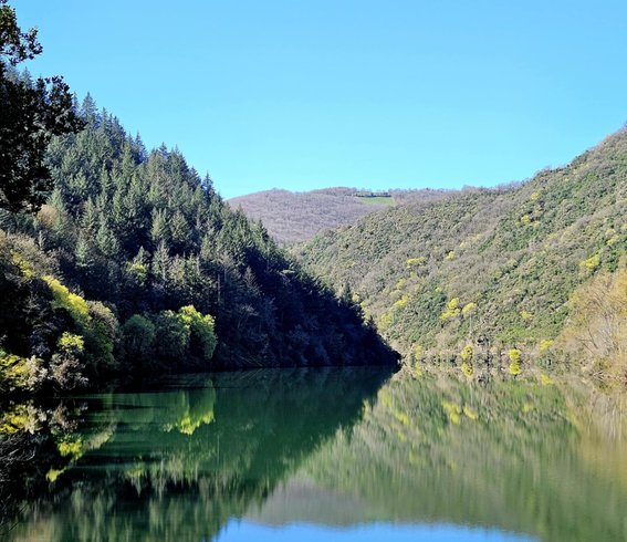 Hébergement AbracadaRoom : Dôme perché sur pilotis & spa proche rivière - Image 8