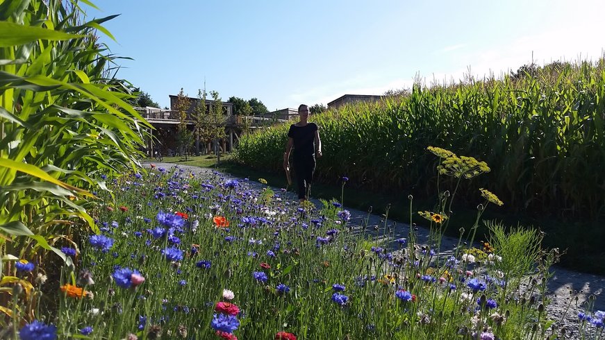 Hébergement AbracadaRoom : Cottage sur pilotis - Image 3