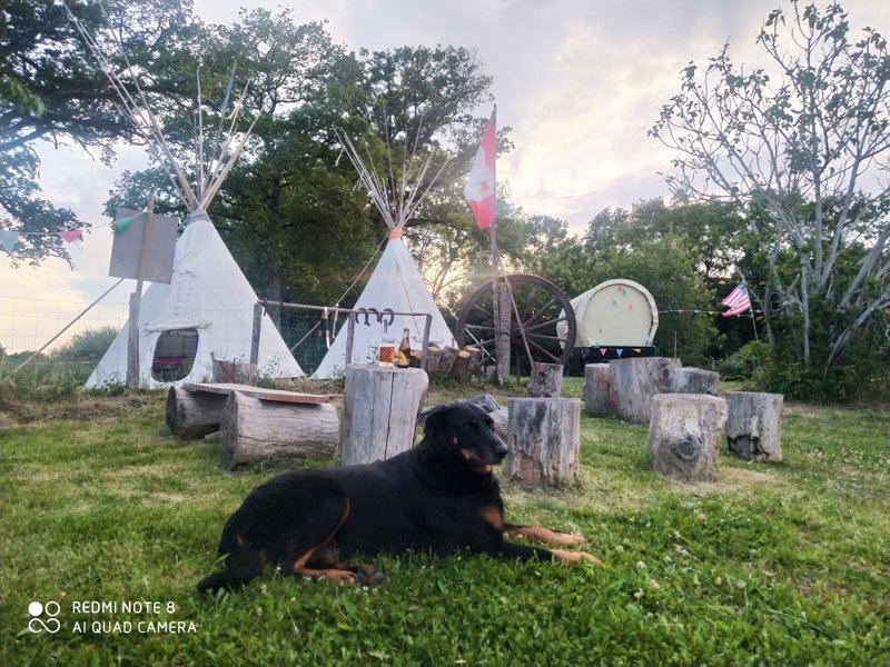 Domaine AbracadaRoom : Clos de l'Isop, le village d'hébergements insolites - Image 8
