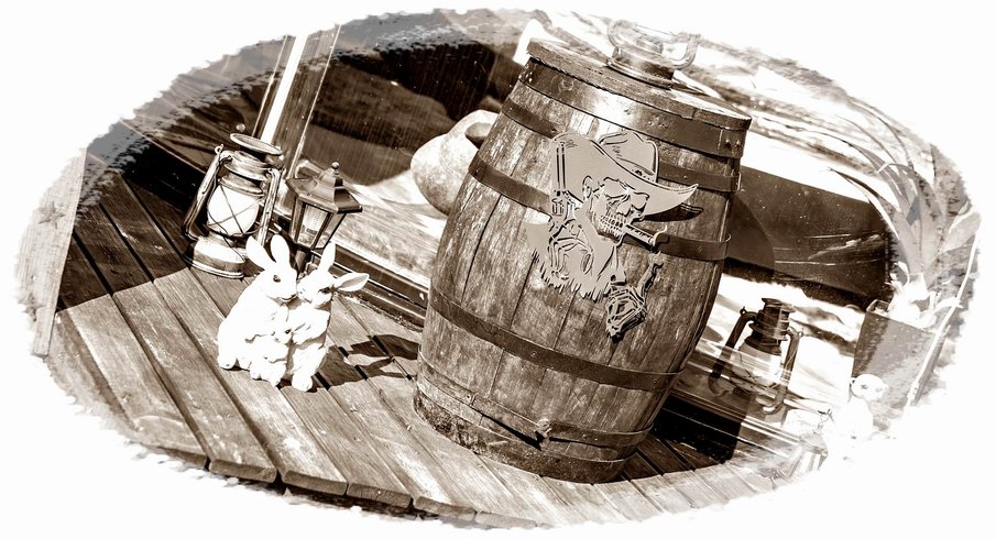 Hébergement AbracadaRoom : Bulle Texas – Luxe  & SPA – Vue Lac Aiguebelette - Image 31