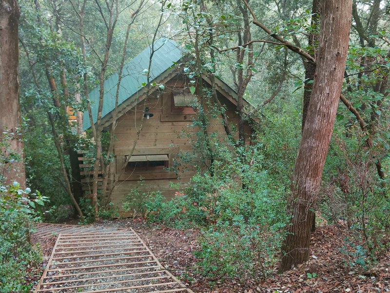 Hébergement AbracadaRoom : Cabane Cahute - Image 9