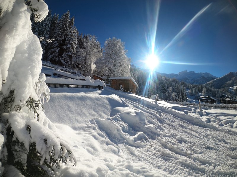 Domaine AbracadaRoom : Cabane dans les Arbres - Valmo'Insolite - Image 3