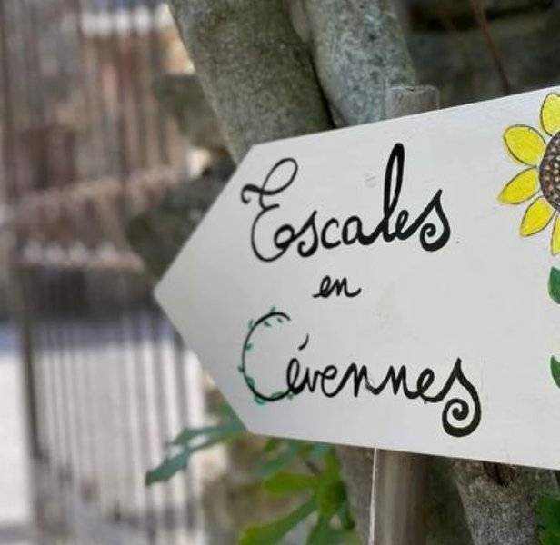 Hébergement AbracadaRoom : La Yourte Nature et sa vue panoramique - Image 11