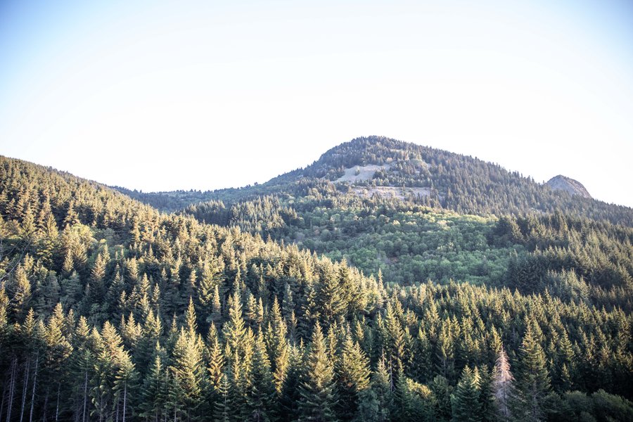 Domaine AbracadaRoom : Aux Mille Etoiles De Sara - Image 8