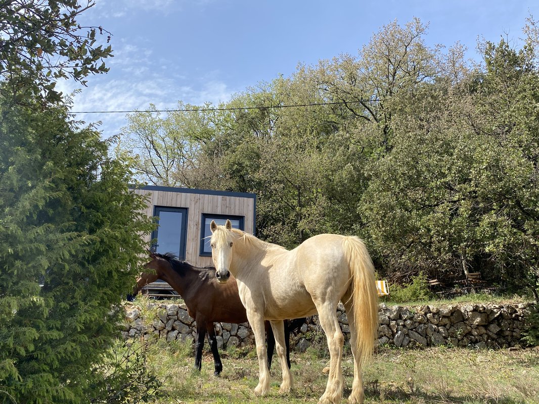 Les Restanques de Rioumard - Verdon à cheval à Varages (40)