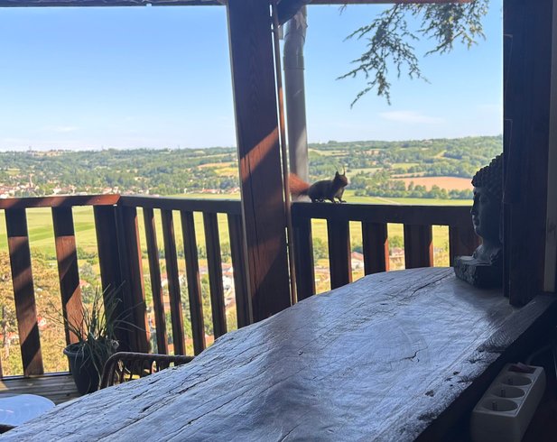 Domaine AbracadaRoom : CHAMBRES BULLES DODO LODGE - Image 3