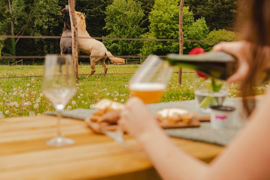 Hébergement AbracadaRoom : Parcel Tiny House- avec les chevaux dans le Perche - Image 13