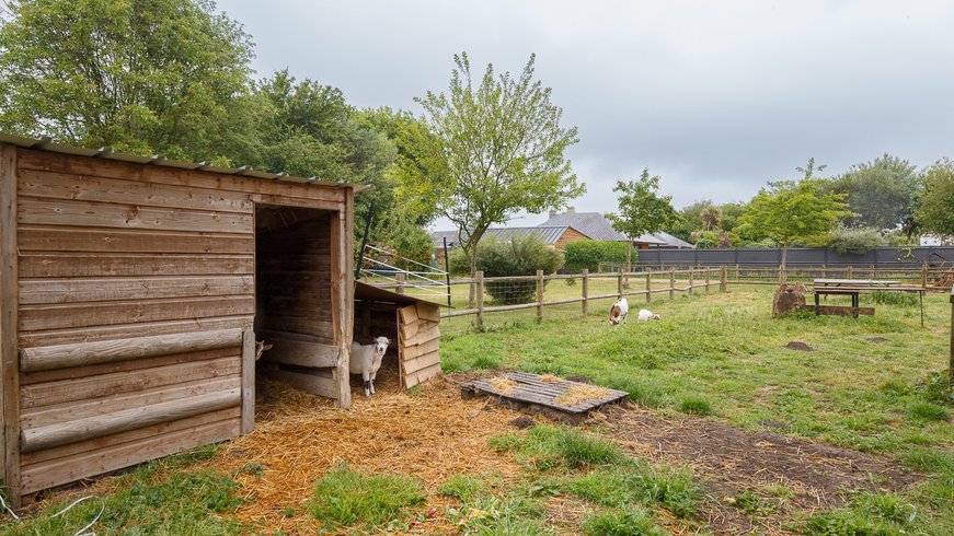 Domaine AbracadaRoom : Camping Seasonova Haliotis - Image 17