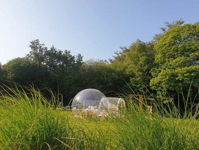 Hébergement AbracadaRoom : La Bulle de Clotilde - Image 3