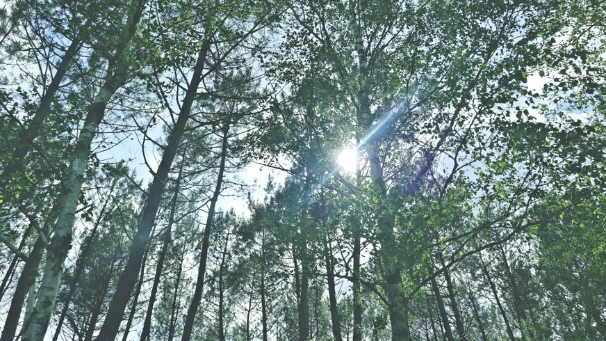 Domaine AbracadaRoom : Tiny House Boho Océan - Image 2