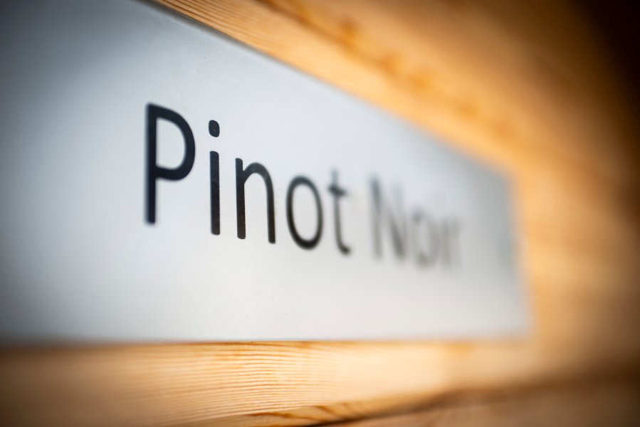 Hébergement AbracadaRoom : Pinot Noir - Image 20