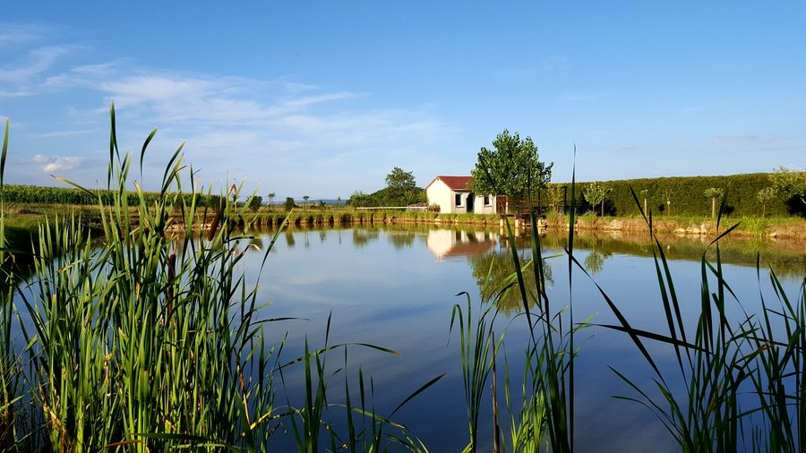 Hébergement AbracadaRoom : Gîte complet 5 Lodges  15 couchages - Image 15