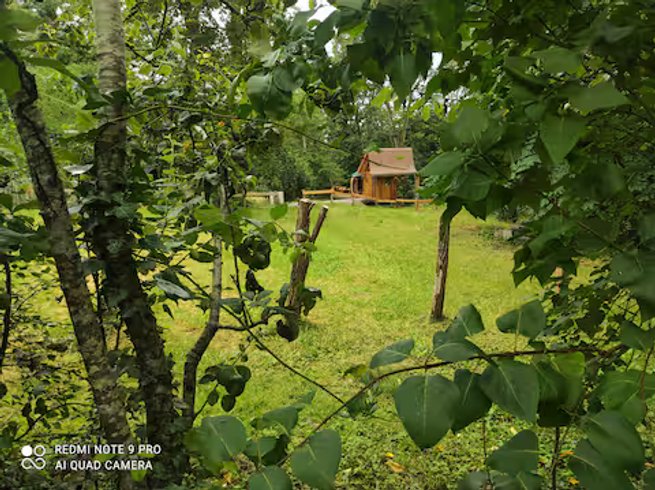 Hébergement AbracadaRoom : Yourte la Desirade - Image 12